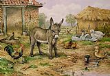 Carl Donner Donkey and Farmyard Fowl