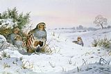 Carl Donner Grey Partridge