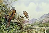 Pair Prints - Pair of Red Kites in an Oak Tree by Carl Donner