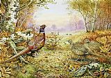 Carl Donner Pheasants in Woodland