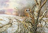 Carl Donner Tawny Owl