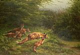 Carl Friedrich Deiker  Foxes waiting for the prey