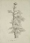 Caspar David Friedrich Ancient Oak Tree With A Storks Nest painting