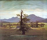 Caspar David Friedrich Landscape with Solitary Tree
