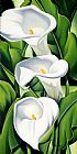 Catherine Abel Lilies