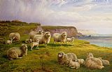 Sheep Prints - Sheep On A Dorset Coast by Charles Jones