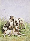 French Prints - A Group of French Hounds by Charles Oliver de Penne
