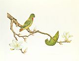 Chinese Prints - Blue Crowned Parakeet Hannging On A Magnolia Branch by Chinese School