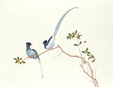 Chinese Prints - Red Billed Blue Magpies On A Branch With Red Berries by Chinese School