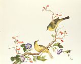 Chinese Prints - Yellow Wagtail With Blue Head by Chinese School