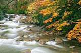 Clarence Holmes Autumn River Cascades I