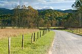 Lane Paintings - Cades Cove Hyatt Lane by Clarence Holmes