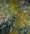 Claude Monet Iris