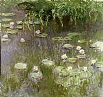 Claude Monet Waterlilies at Midday