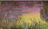 Claude Monet Waterlilies at Sunset