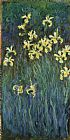 Field of Yellow Irises at Giverny Prints - Yellow Irises by Claude Monet