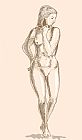 Collection 10 Female Human Anatomy