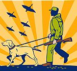 Collection 10 Hunting Gun Dog