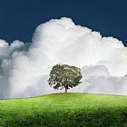 Collection 11 A New Unity painting