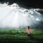 Collection 11 Hope painting