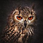 Collection 11 Hunting Eyes painting