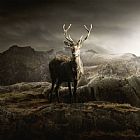 Collection 11 Inertia painting