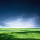 Collection 11 Quiet Life painting