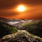 Collection 11 Without You painting