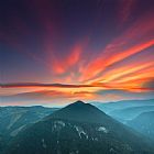 Collection 12 Eagle Eye