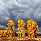 Collection 12 Light And Darkness