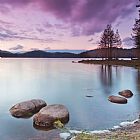 Collection 12 Violet dusk