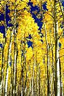 Aspen Prints - Aspen Autumn by Collection 13