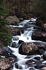 Collection 13 Rocky Mountain National Park Cascade
