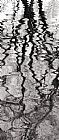 Collection 13 Tree Reflection - Wavy Abstract