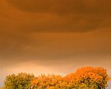 Collection 13 Under an Autumn Sky