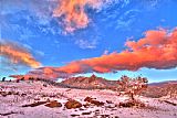 Red And White Prints - Red White and Blue Winter by Collection 14