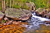 Collection 14 Rocky Mountain Stream