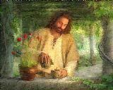 Collection 2 Nurtured By The Word