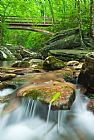 Collection 3 Blue Ridge Mountain Stream painting