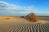 Collection 3 Hatteras Sands of Time painting