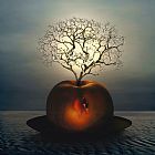 Airi Prints - Survivor by Collection 5