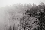 Collection 6 Bryce Canyon Fog