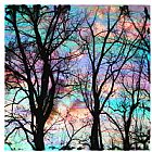 Collection 8 Cotton candy sunrise