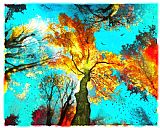 Collection 8 Evening celebration