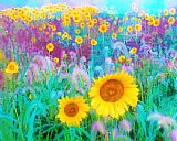 Collection 8 In the morning