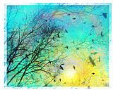 Collection 8 Moving on