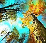 Collection 8 Stepping out