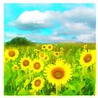 Collection 8 Clouds today