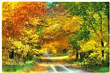 Collection 8 Autumn country lane