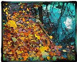 Collection 8 Autumn reflection